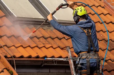 Démoussage et hydrofuge de toiture à Cressia